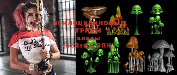 apvp Аркадак