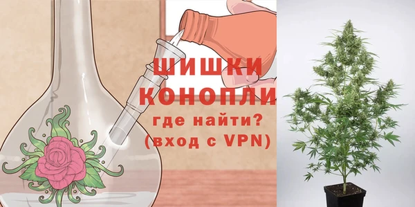 винт Арсеньев