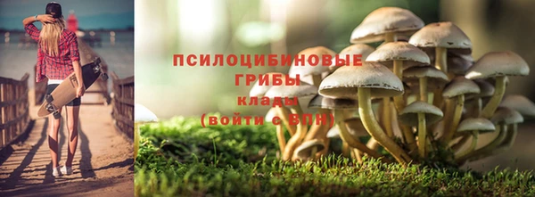 apvp Аркадак
