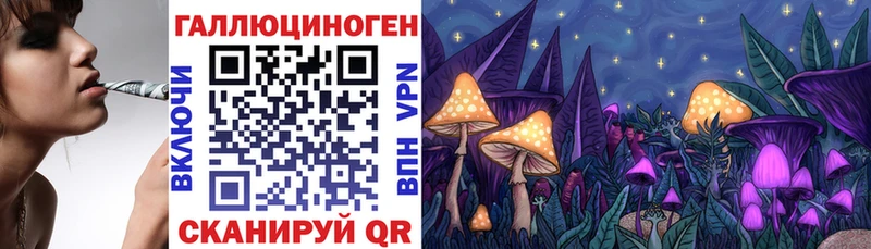 Галлюциногенные грибы Psilocybe  Купить где  Судогда 