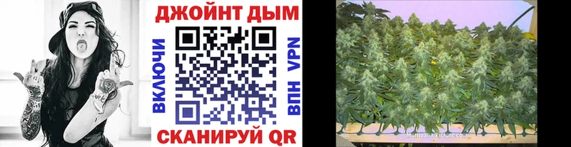 Бошки Шишки Amnesia  Купить  Судогда 