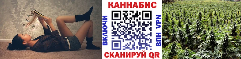 Канабис план Судогда